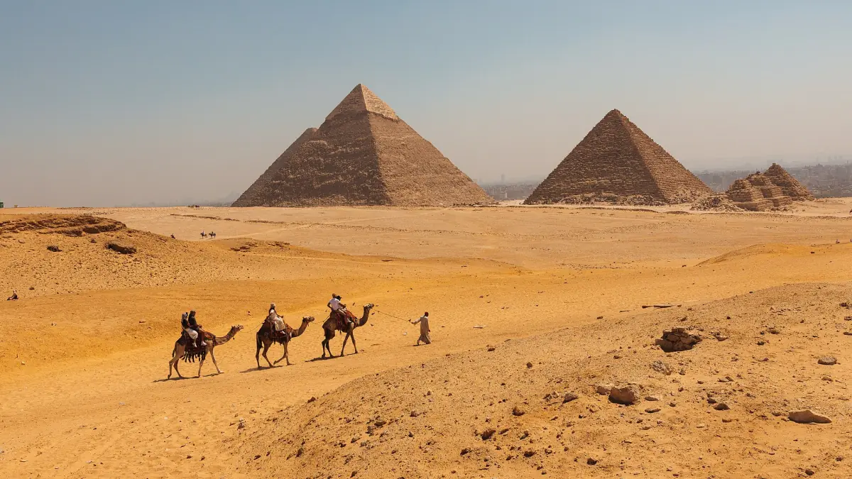 A camel caravan in the desert near the pyramids